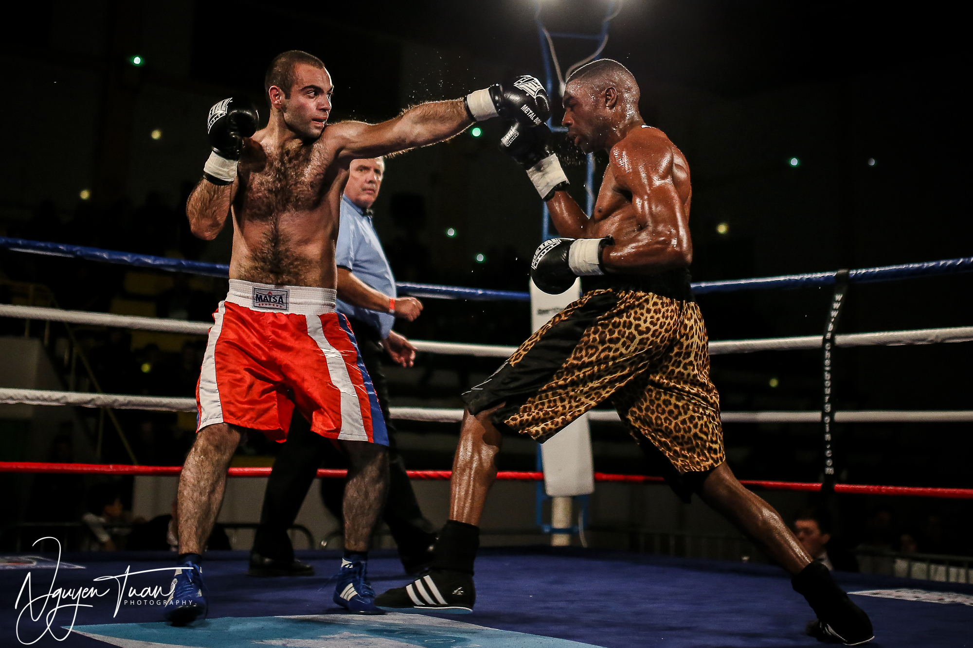 Gala Boxe  24112018   4368